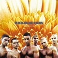 Rammstein - Kokain