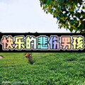 随风 - 大天棚