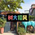 天天 - 欧若拉