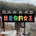 天天 - 最美的伤口