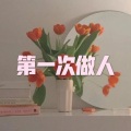 盛夏的果实 (DJ版)