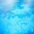 별 헤는 밤 - 북카페