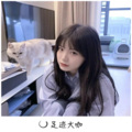 瑞典电鼓
