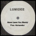 Never Leave You (Remix)