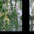 雨滴于窗
