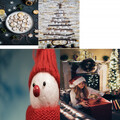 Auld Lang Syne - Christmas Eve