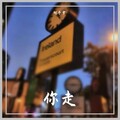 刘子宁 - 你走