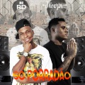 MC Jhowzin、DJ Luan Silva、MC RD - Só Porradão (Explicit)