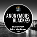 Silverfox - Bring You Down (Original Mix)