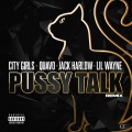 Pussy Talk (Remix|Explicit)