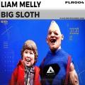 Liam Melly - Big Sloth