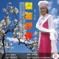 花叶蔓 - 梨花抒怀