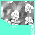 Max Lake - Known
