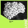 Max Lake - Ground