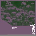 Max Lake - Mirrors
