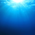 海洋之声、自然声带、自然之声保护区 - 海边