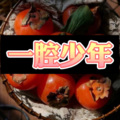 西西 - 执迷不悟