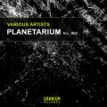 Ivan P - Rave