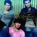 Jonas Brothers - Fly With Me (DigitalDogRadioEdit)