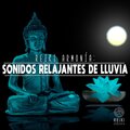 Reiki Armonía - Sonidos Relajantes de Lluvia, Pt. 27