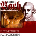 Burkhard Glaetzner、Eckart Haupt、Carl Philipp Emanuel Bach Chamber Orchestra - I. Allegro