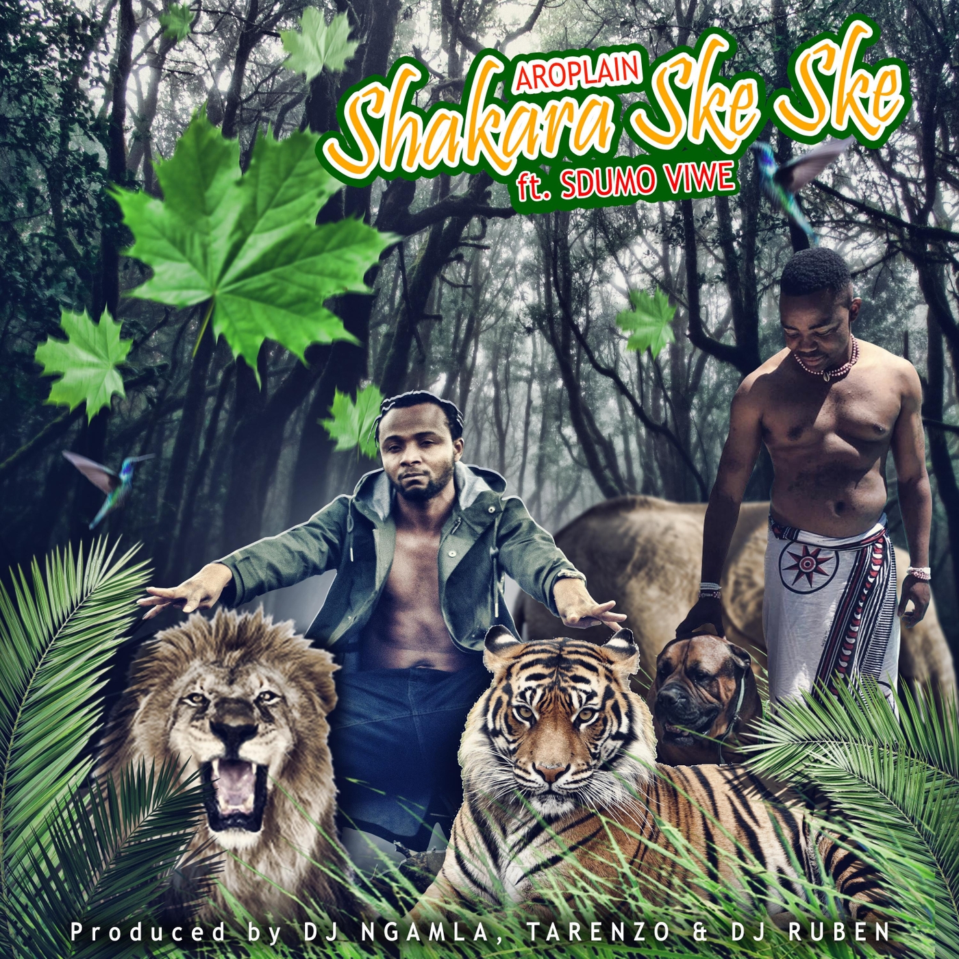 Sdumo Viwe、Aroplain - Shakara Ske Ske