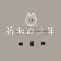 你的万水千山 (车载舞曲版)