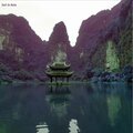 Jinja Citizen - Drunk in Moonlight