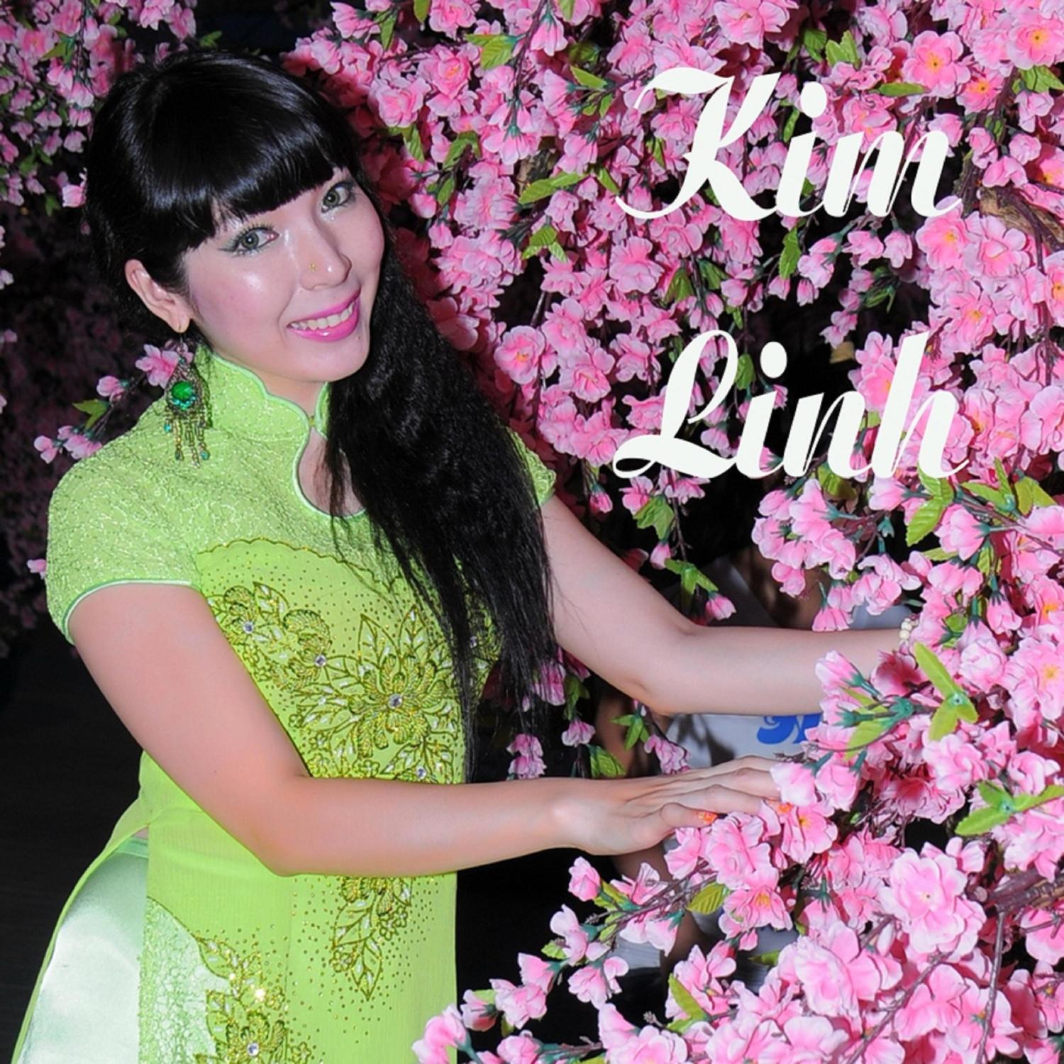 Kim Linh - Niềm An Vui