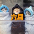 六耳
