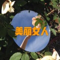 呆妹儿、小可 - 天黑黑