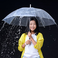 爱是雨露阳光