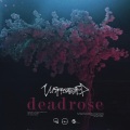 Unprocessed - Deadrose