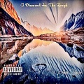 A Diamond In The Rough (Explicit)