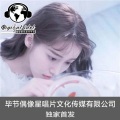 我的风格就是没有风格 (DJ版)