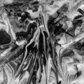 Cardo - Abstractism