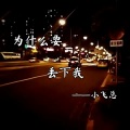 小飞总 - 为什么要丢下我