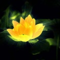 道教经典
