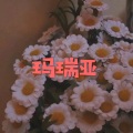 等红颜 (动感酒吧版)