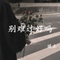 是我太傻 (Remix)