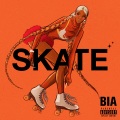 SKATE (Explicit)