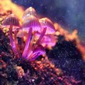 Archangel Michael、Michael Noah Kovas - Angel Flow 1 (Explicit)