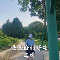 九键打出54424看看是什么