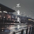 冯心怡 - 不重要了