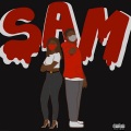 SAM (Explicit)