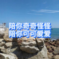 络络 - 走下去