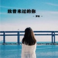 梦欣 - 致曾来过的你