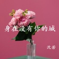 沈若 - 身在没有你的城