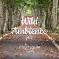 Cryptesium - Along the Road