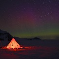 Robert Kan、Roberto Kan - Antarctica